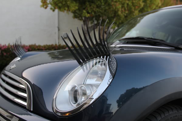 Cils pour voiture