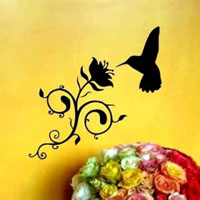 Petit Colibri